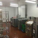 Industrial Warehouse Flying Foods Interior